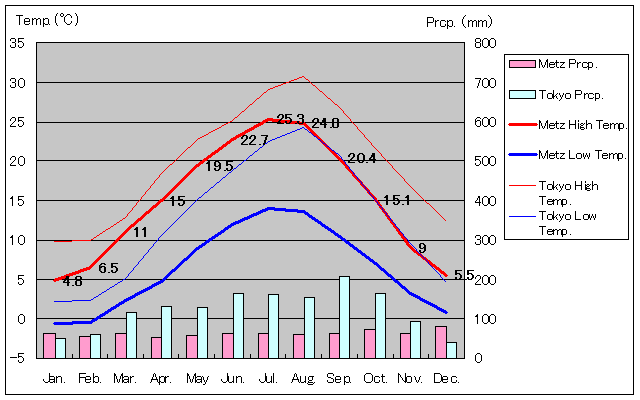 メッツ気温、一年を通した月別気温グラフ