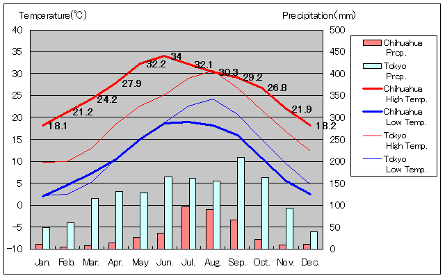 チワワ気温、一年を通した月別気温グラフ