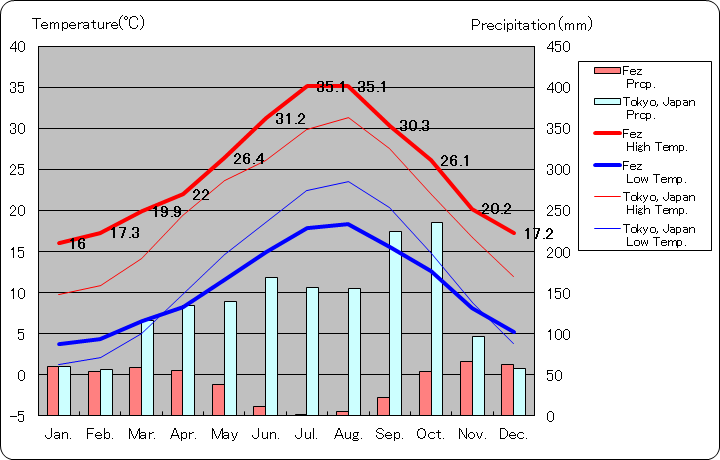 フェズ気温、一年を通した月別気温グラフ