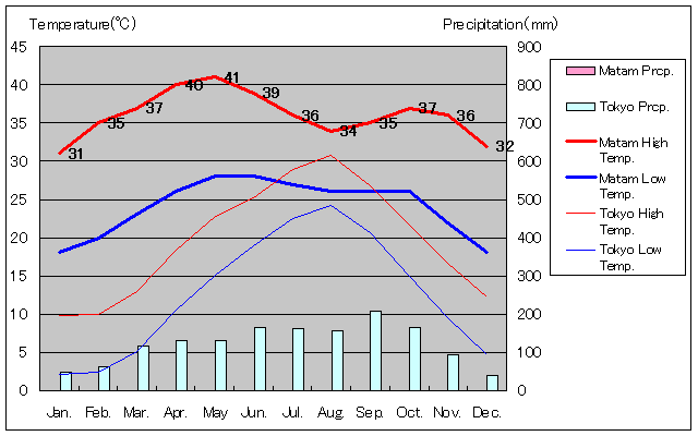 マタム気温、一年を通した月別気温グラフ