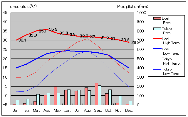 ルーイ気温、一年を通した月別気温グラフ