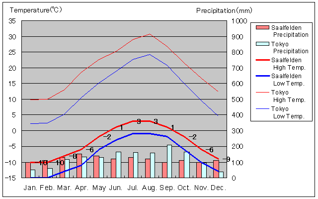 ザールフェルデン気温、一年を通した月別気温グラフ