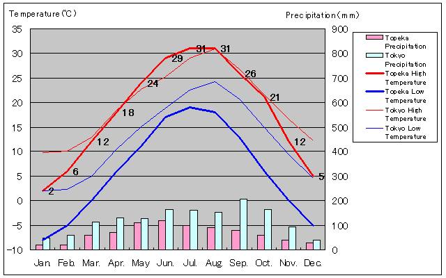 トピカ気温、一年を通した月別気温グラフ