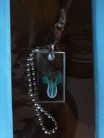 ���ʔ��؂̌g�уX�g���b�v