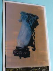 ���ʔ���