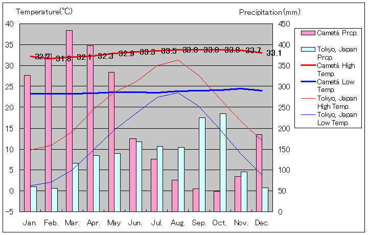 カメタ気温、一年を通した月別気温グラフ