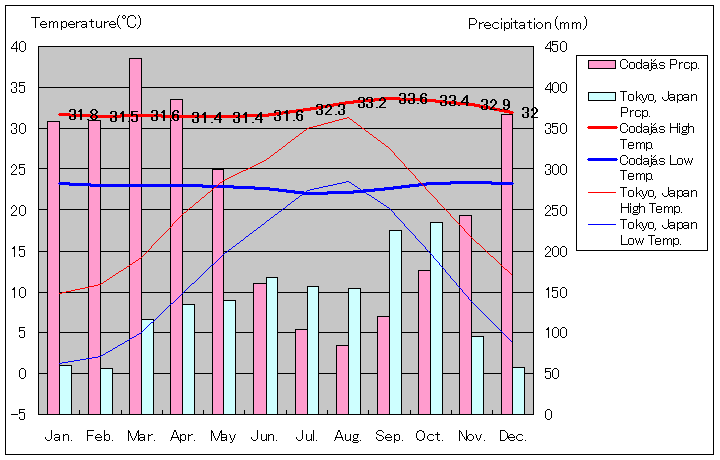コダジャス気温、一年を通した月別気温グラフ