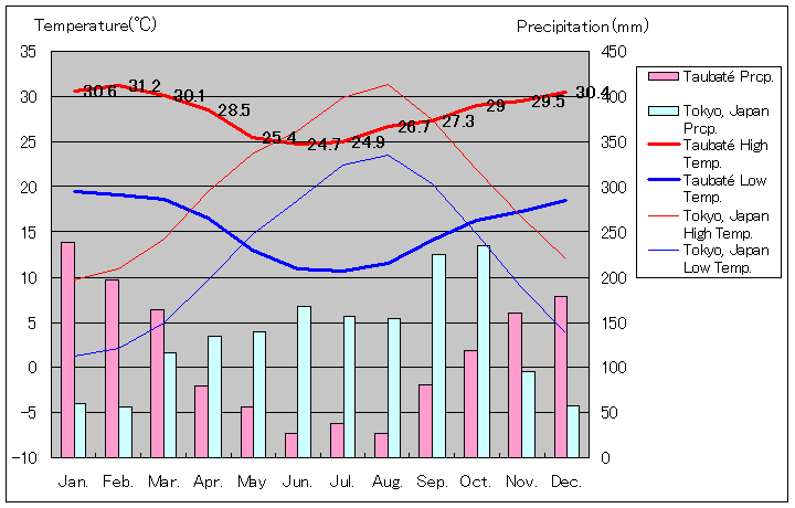 タウバテ気温、一年を通した月別気温グラフ