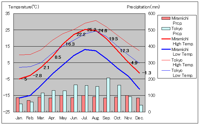 ミラミチ気温、一年を通した月別気温グラフ