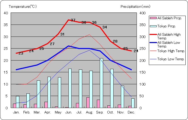 アリ・サビエ気温、一年を通した月別気温グラフ