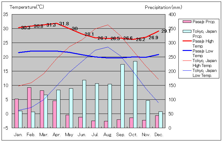 パサヘ気温、一年を通した月別気温グラフ