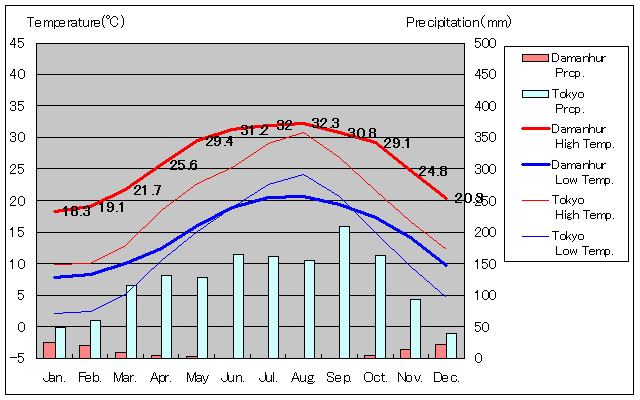ダマンフール気温、一年を通した月別気温グラフ