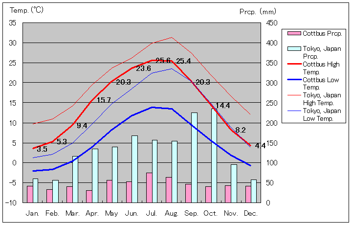 コトブス気温、一年を通した月別気温グラフ