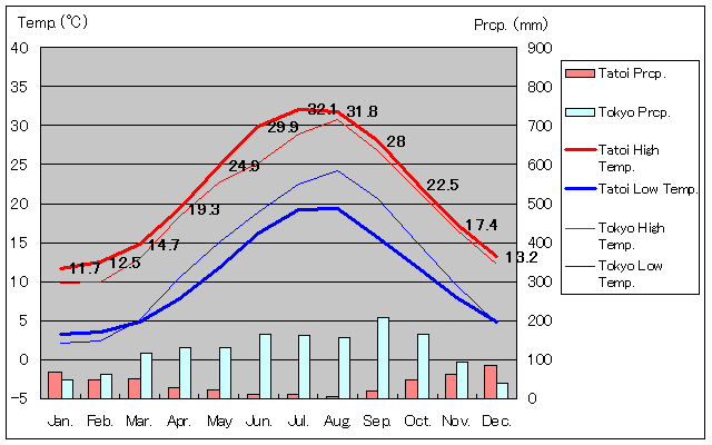 タトイ気温、一年を通した月別気温グラフ
