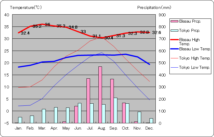 ビサウ気温、一年を通した月別気温グラフ