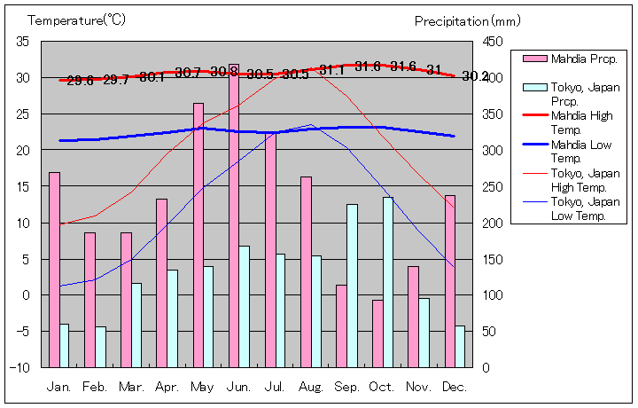 マディア気温、一年を通した月別気温グラフ