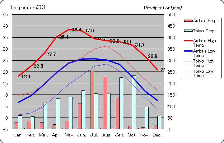 アンバーラー気温、一年を通した月別気温グラフ