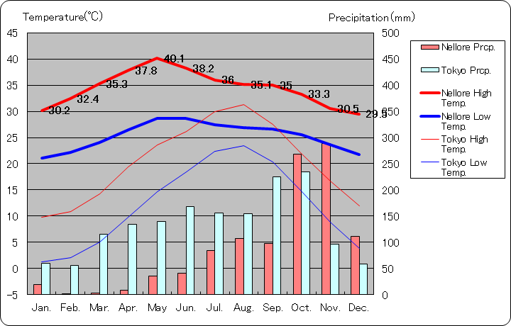 ネルール気温、一年を通した月別気温グラフ