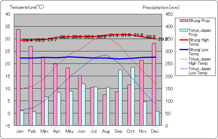 ビツン気温、一年を通した月別気温グラフ