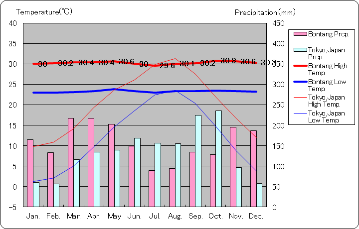 ボンタン気温、一年を通した月別気温グラフ