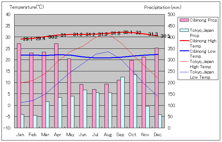 チビノン気温、一年を通した月別気温グラフ