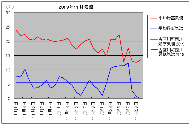 2019NAÍ쒬 11C