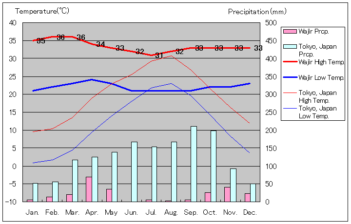 ワジール気温、一年を通した月別気温グラフ