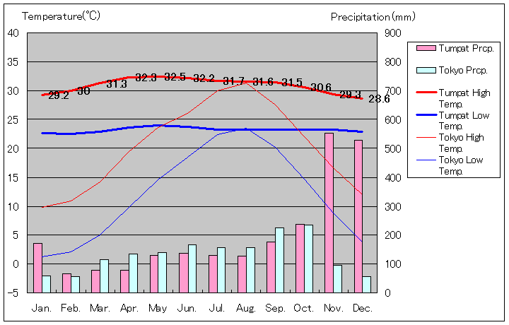 トゥンパッ気温、一年を通した月別気温グラフ