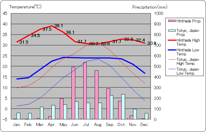 ヒンタダ気温、一年を通した月別気温グラフ