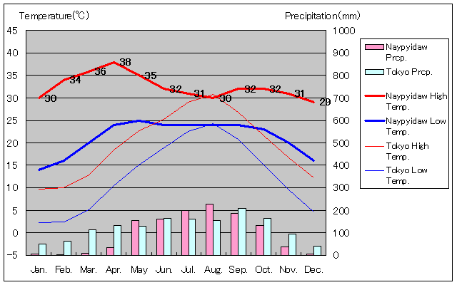ネピドー気温、一年を通した月別気温グラフ