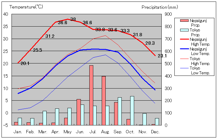 ネパールガンジ気温、一年を通した月別気温グラフ