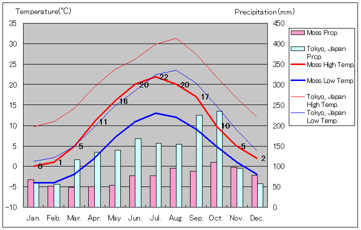 モス気温、一年を通した月別気温グラフ