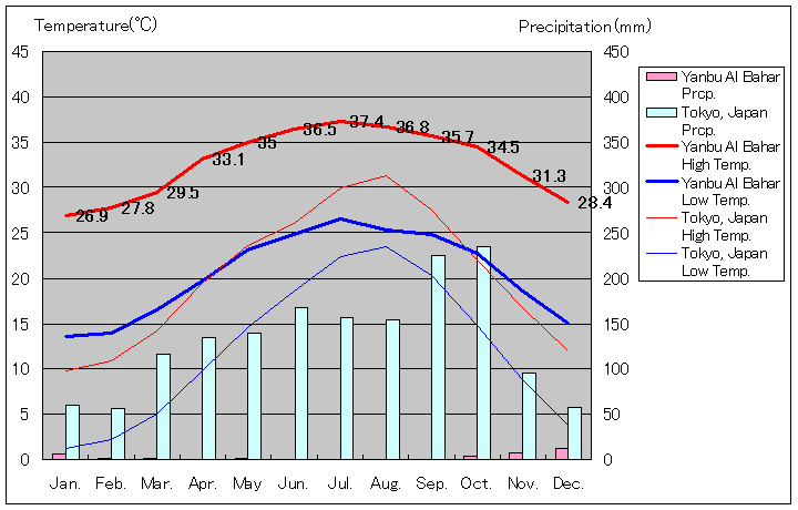 ヤンブー気温、一年を通した月別気温グラフ