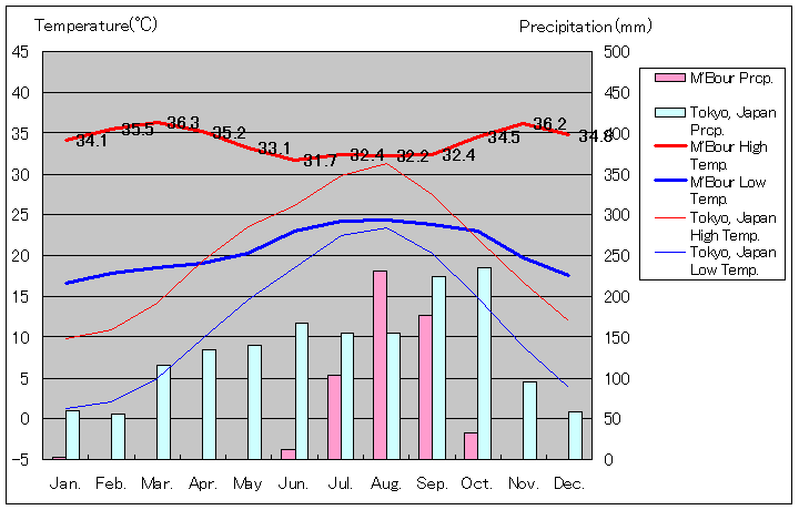 ンブール気温、一年を通した月別気温グラフ