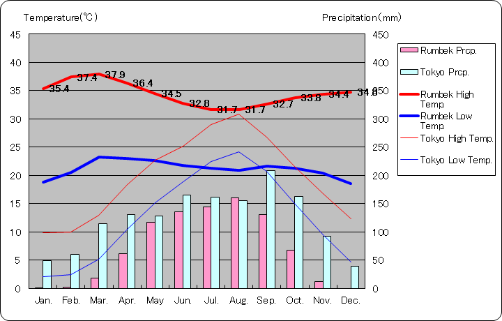 ルンベク気温、一年を通した月別気温グラフ