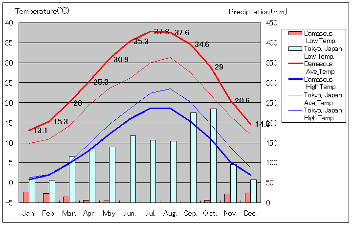 ダマスカス気温、一年を通した月別気温グラフ