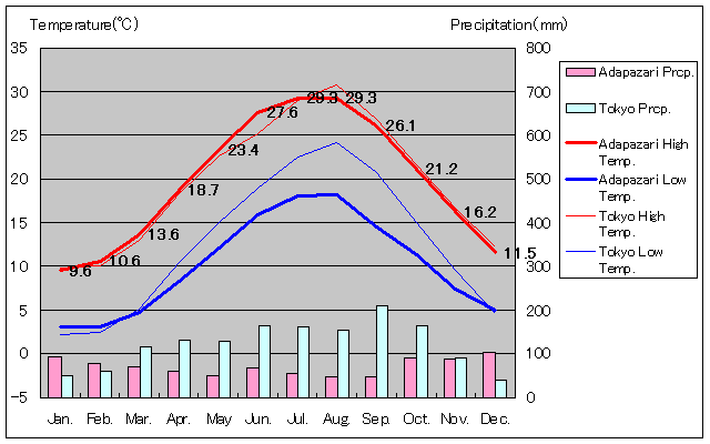 アダパザル気温、一年を通した月別気温グラフ