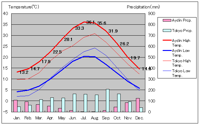 アイドゥン気温、一年を通した月別気温グラフ