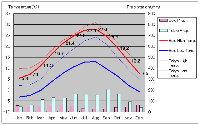 ボル気温、一年を通した月別気温グラフ