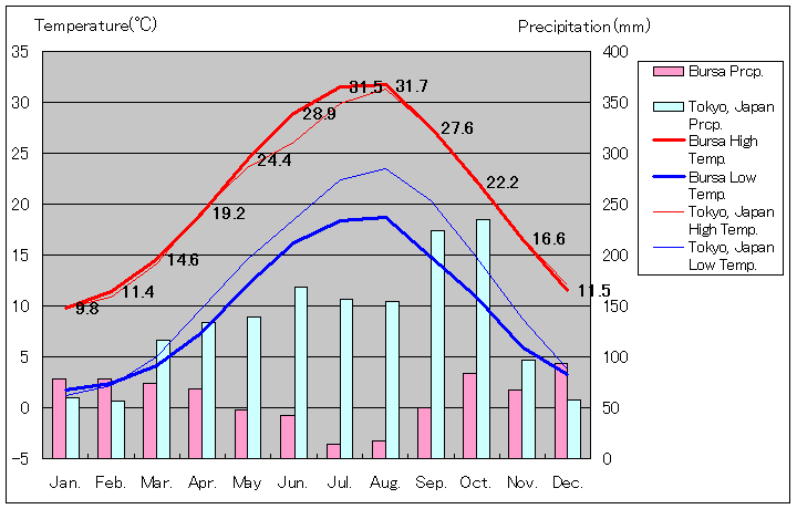 ブルサ気温、一年を通した月別気温グラフ