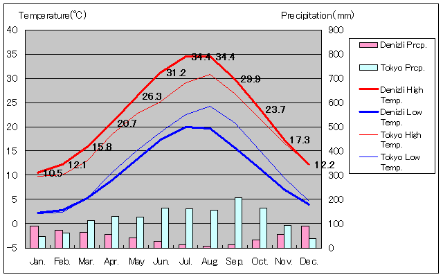 デニズリ気温、一年を通した月別気温グラフ