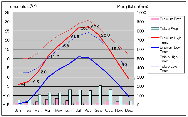 エルズルム気温、一年を通した月別気温グラフ