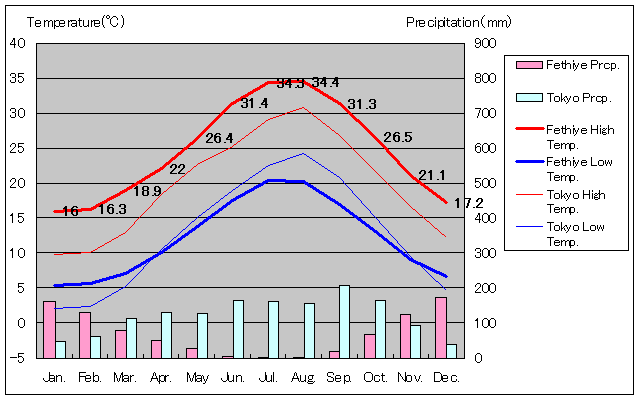 フェトヒエ気温、一年を通した月別気温グラフ