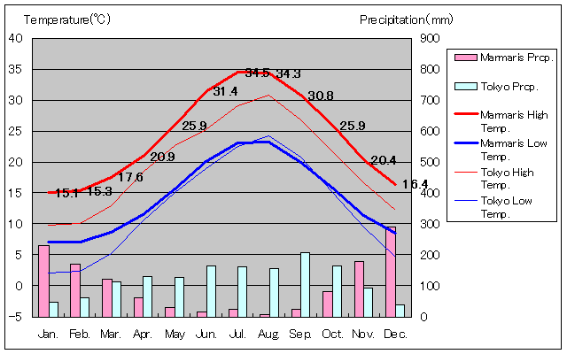 マルマリス気温、一年を通した月別気温グラフ