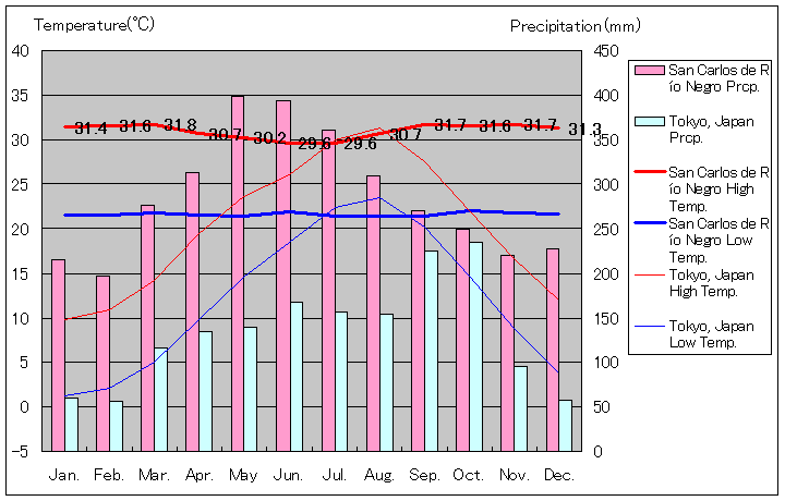 サン・カルロス・デ・リオ・ネグロ気温、一年を通した月別気温グラフ