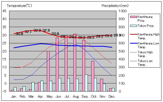 コータウン気温、一年を通した月別気温グラフ