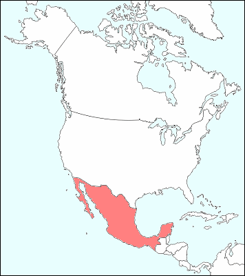 メキシコ地図 旅行のとも Zentech