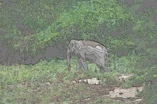 トゥンヤイ＝フワイ・カーケン野生生物保護区