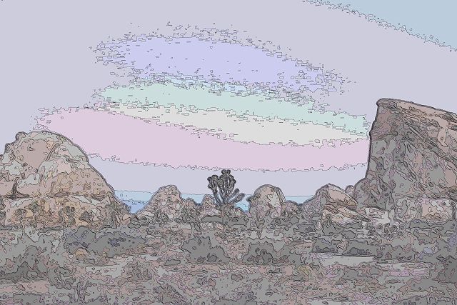 ジョシュアツリー国立公園