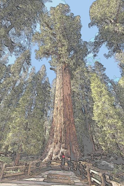 セコイア国立公園